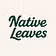 Native Leaves 
