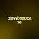 bigvybsapparrel