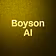 Boyson AI 