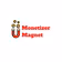 Monetizer Magnet