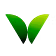 Velora