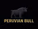 Peruvian Bull