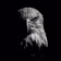 Falcon Fx Empire