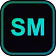 The SMT Detector