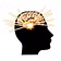 Your Mind