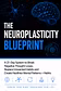The Neuroplasticity Blueprint