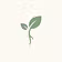 PureRoot