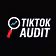 Tik Tok Audit