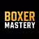 BOXER MASTERY ONLINEKURS