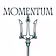 Momentum