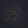 Raven Holdings