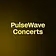 PulseWave Concerts