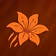TIGER LILY FIT