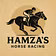 Hamza's Horse Racing Tipster