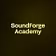 SoundForge Academy