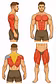Never Lose Muscle