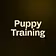 Puppy Training 