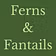 Ferns and Fantails
