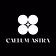 Caelum Astra Engineering