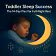 Toddler Sleep Success in 14 days