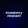 strawberry elephant 
