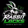 Rabbit Locks 🔐