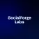 SocialForge Labs