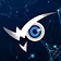 WiseVisionLLC