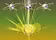 SoftSwap Solutions SOFTWARE