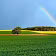 SoulQuest Coaching & Courses