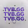 TVB LLC