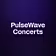 PulseWave Concerts