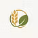 Harvest Collective