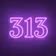 313 Inner Circle