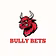 Bully | Sports Insights