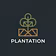 Plantation