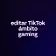 editar TikTok ámbito gaming