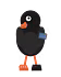 Odd Shoes