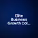 Elite Business Growth Collecti