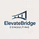 Elevate Bridge Consulting