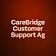 CareBridge Customer Support Ag