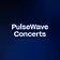 PulseWave Concerts