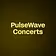 PulseWave Concerts