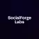 SocialForge Labs