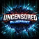 THE UNCENSORED BLUEPRINT