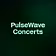 PulseWave Concerts
