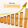 Elevate Learning Co.