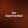 Zer Gayrimenkul