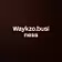 Waykzo.business 