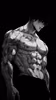THE BEBSFIT SHRED PROTOCOL